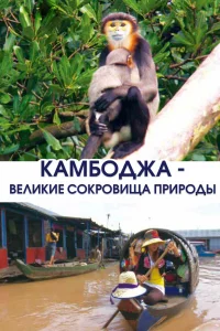  Камбоджа - великие сокровища природы 